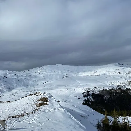 Cosy Murat (Cantal)